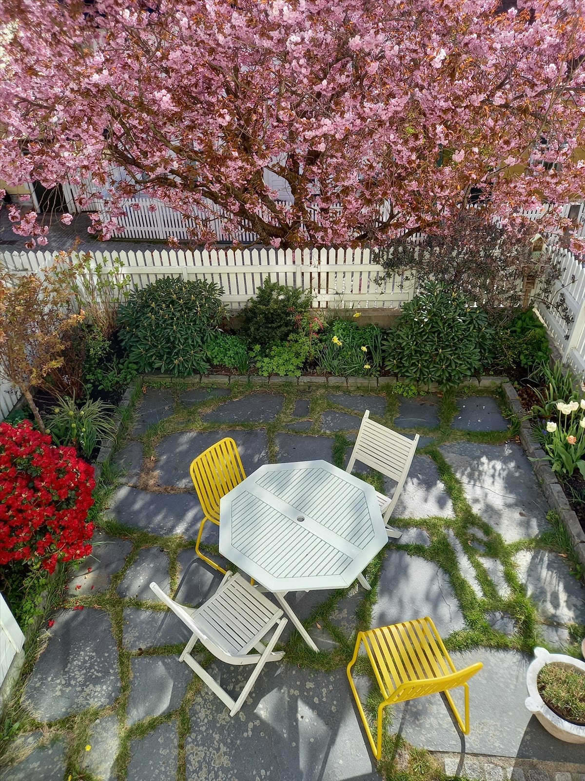 Bildene av uteplassen er tatt av selger i mai, når kirsebærtrærne står i full blomst. Galleribilde