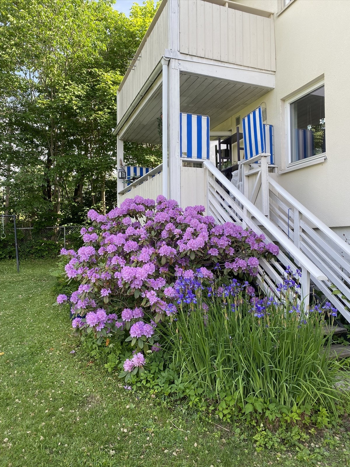 Sommer i Golfstubben. Galleribilde