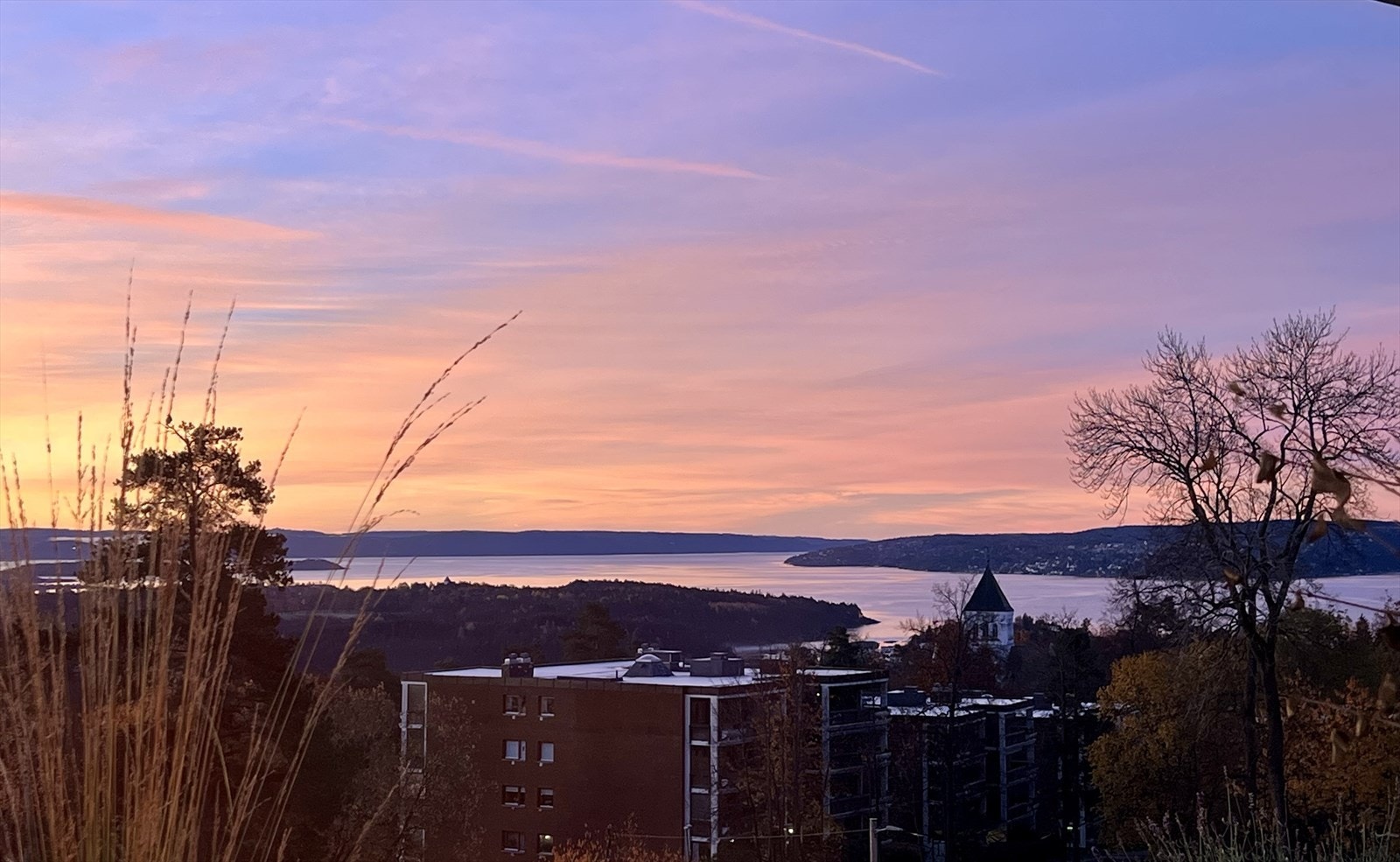 Selger sitt bilde Galleribilde