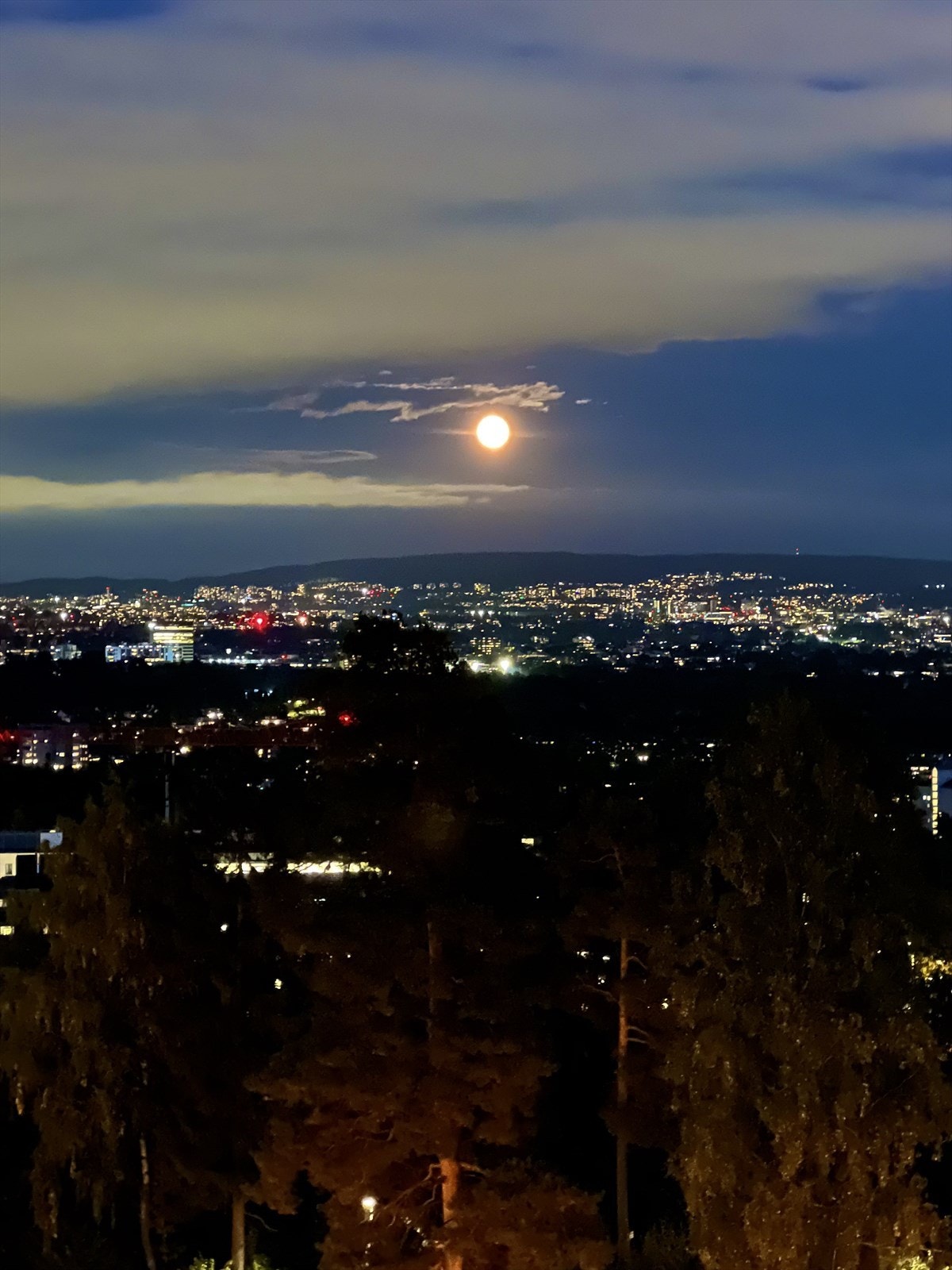 Selger sitt bilde Galleribilde