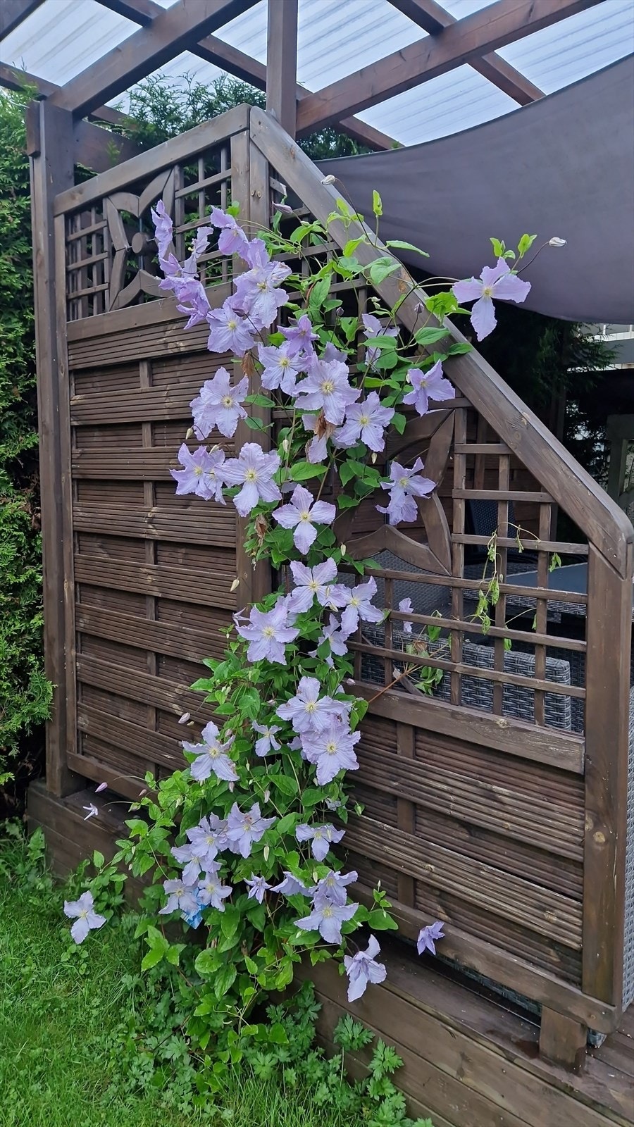 Fine beplantningsdetaljer rammer inn uteområdene. Galleribilde