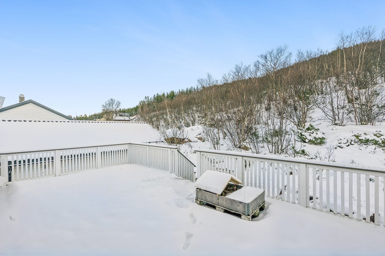 Foto: Lene Blomsø Galleribilde