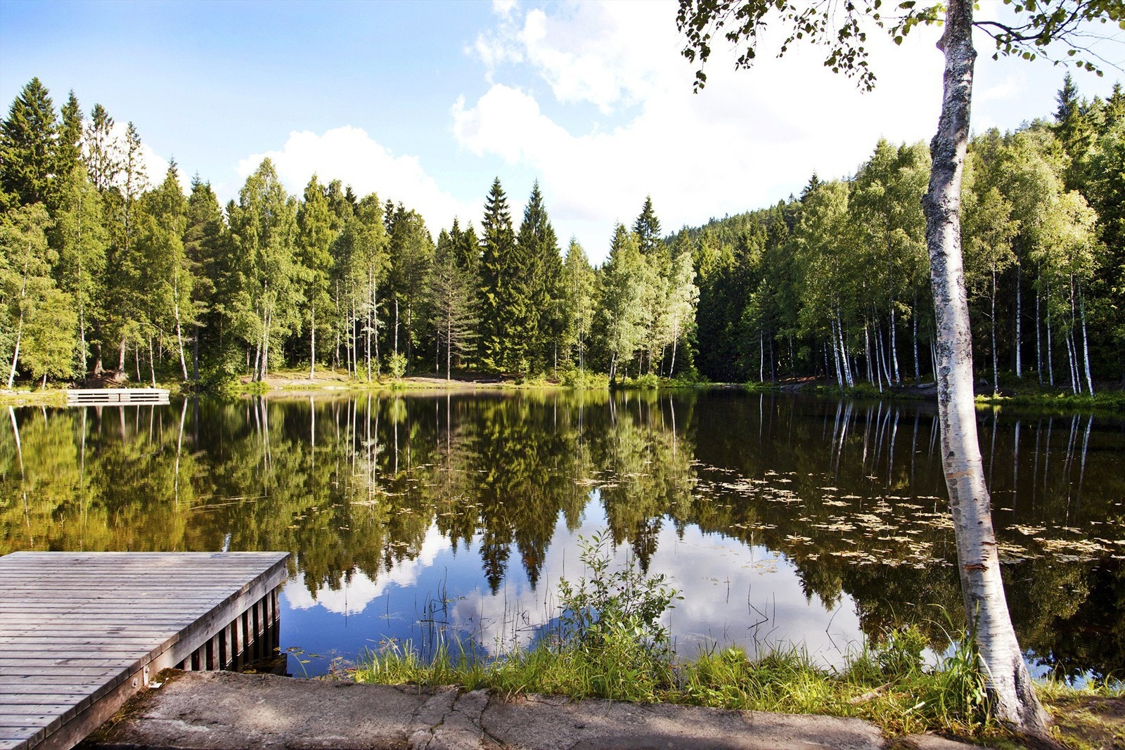 Trollvann Galleribilde