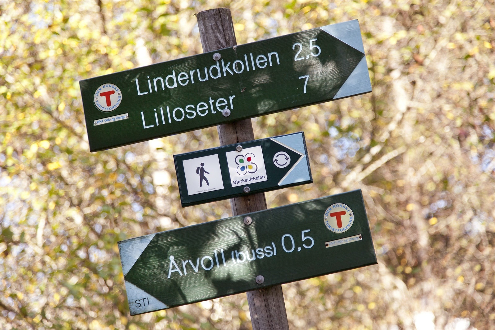 Flotte turmuligheter i nærområdet Galleribilde