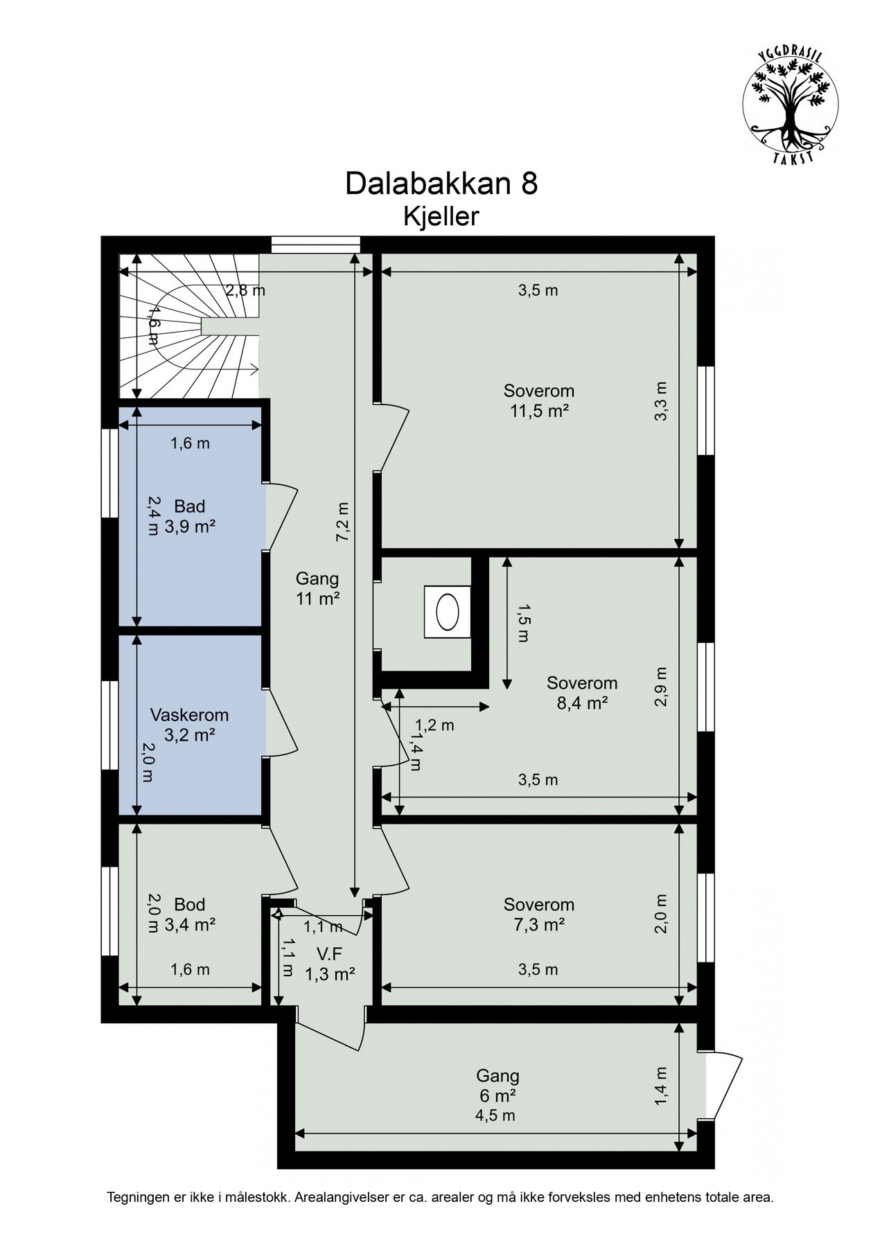 Plantegning kjeller. Galleribilde