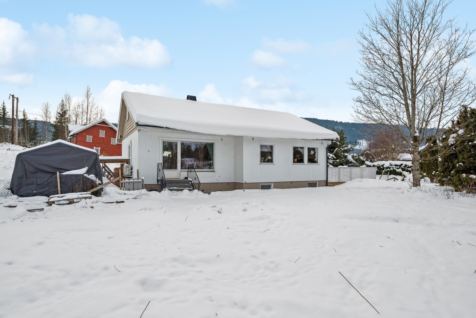 Stor hage. Galleribilde