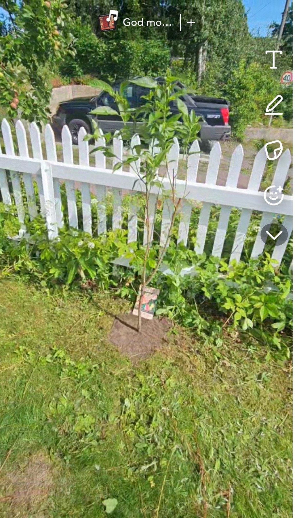 Bare å glede seg til vår, sommer og høst hvor det gror godsaker i fra hagen. Foto - selger Galleribilde