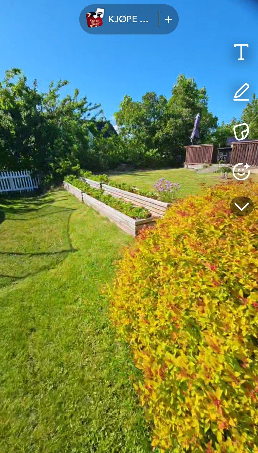 Det er 4 bygde jordbær bedd i hagen. Foto - selger Galleribilde