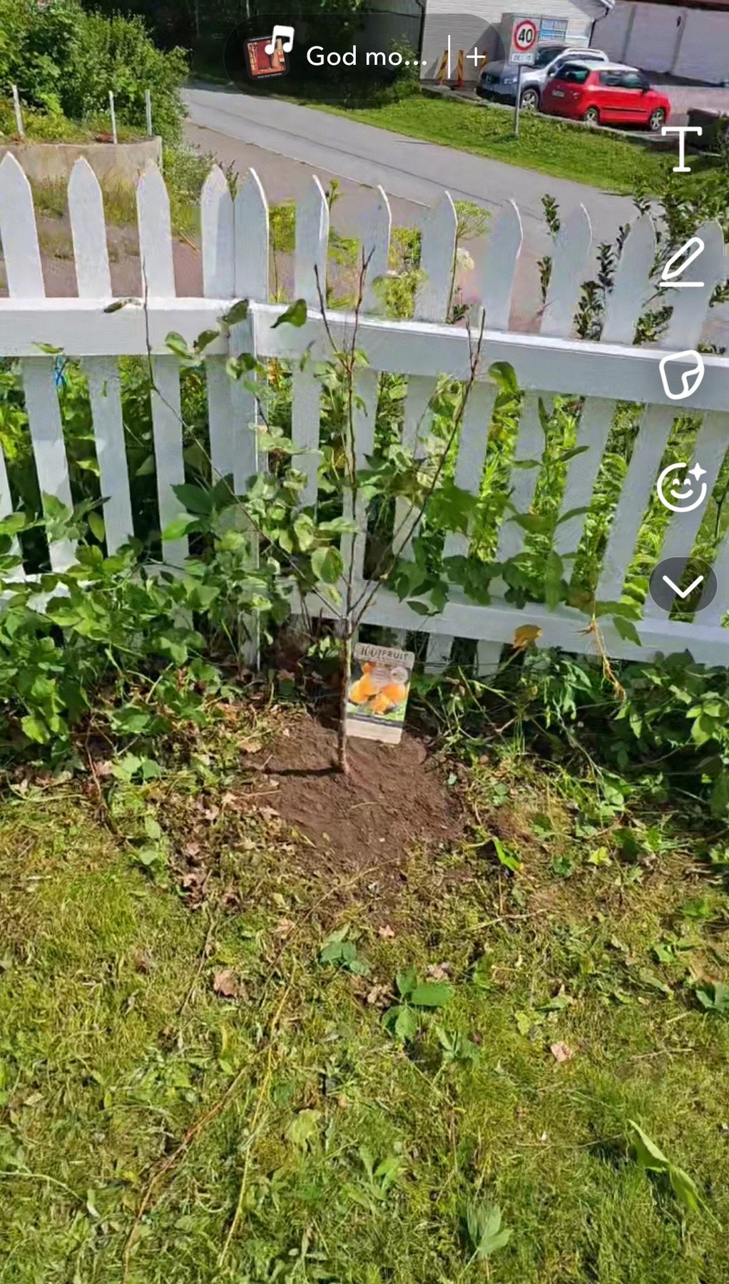 I Adalsveien 2A er man nærmest selvforsynt med bær og frukt. Foto - selger Galleribilde