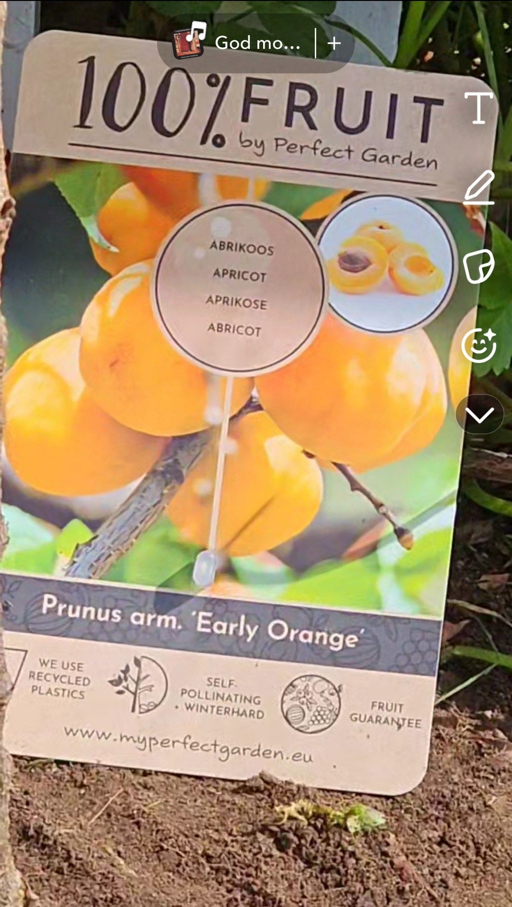 Nå kan vi drømme oss bort til sol og sommer mens vi venter på at det gror i fra hagen. Foto - selger Galleribilde