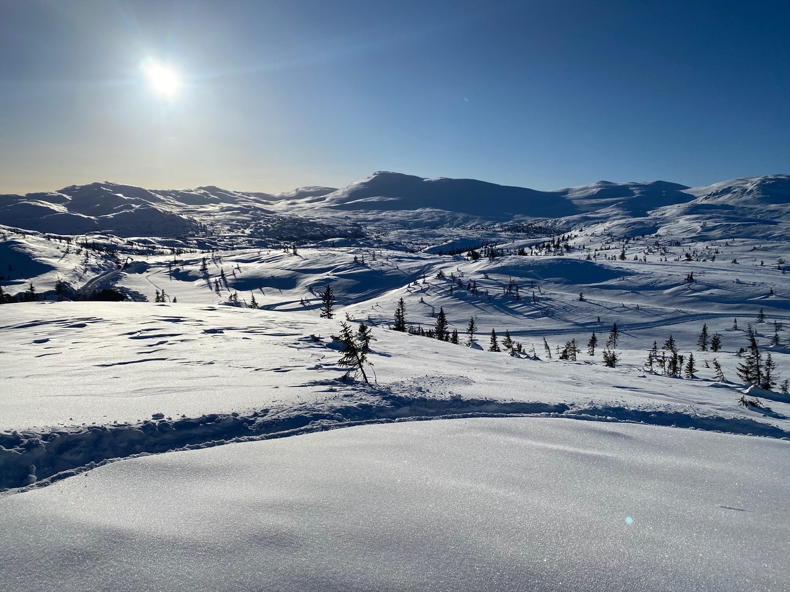 Vinterbilde tatt like ved tomten. Galleribilde