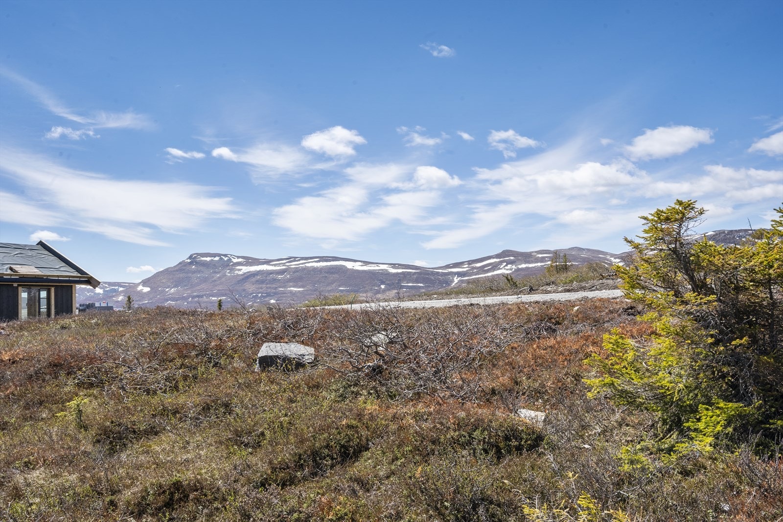 Majestetiske Høgevardetoppen fra lyngen på tomten. Galleribilde