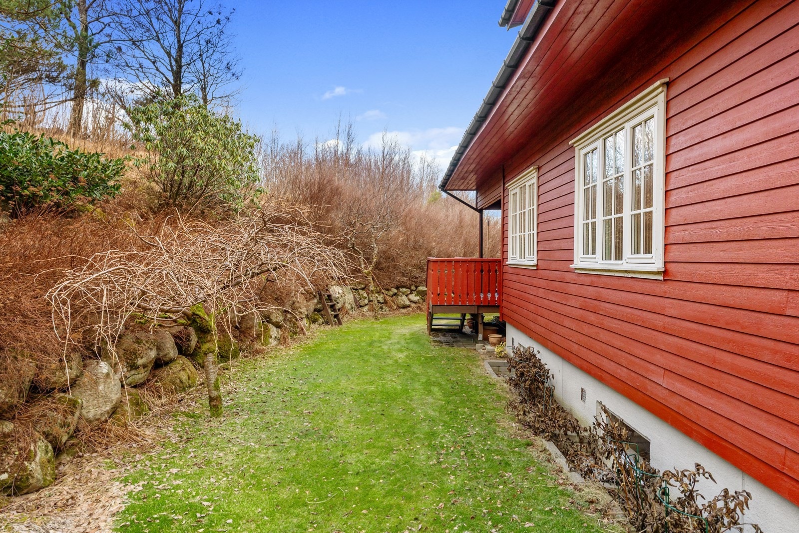 Hage med mange muligheter. Galleribilde