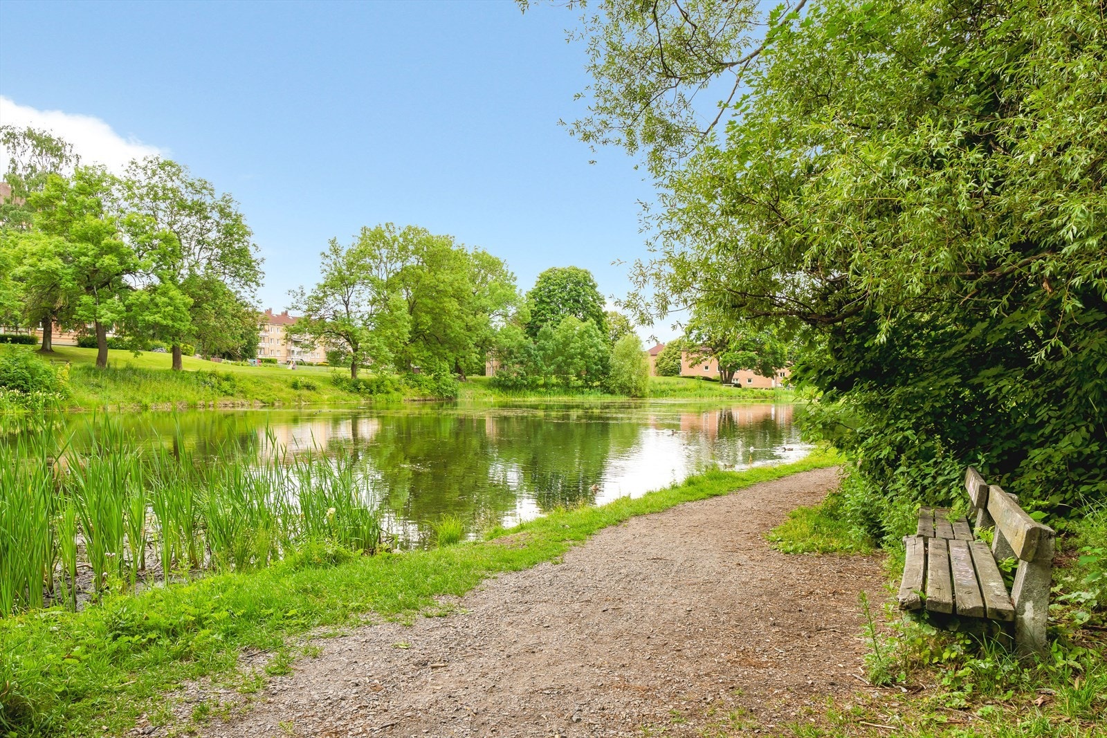 I nærområdet finner du flere flotte og idylliske turmuligheter. Galleribilde