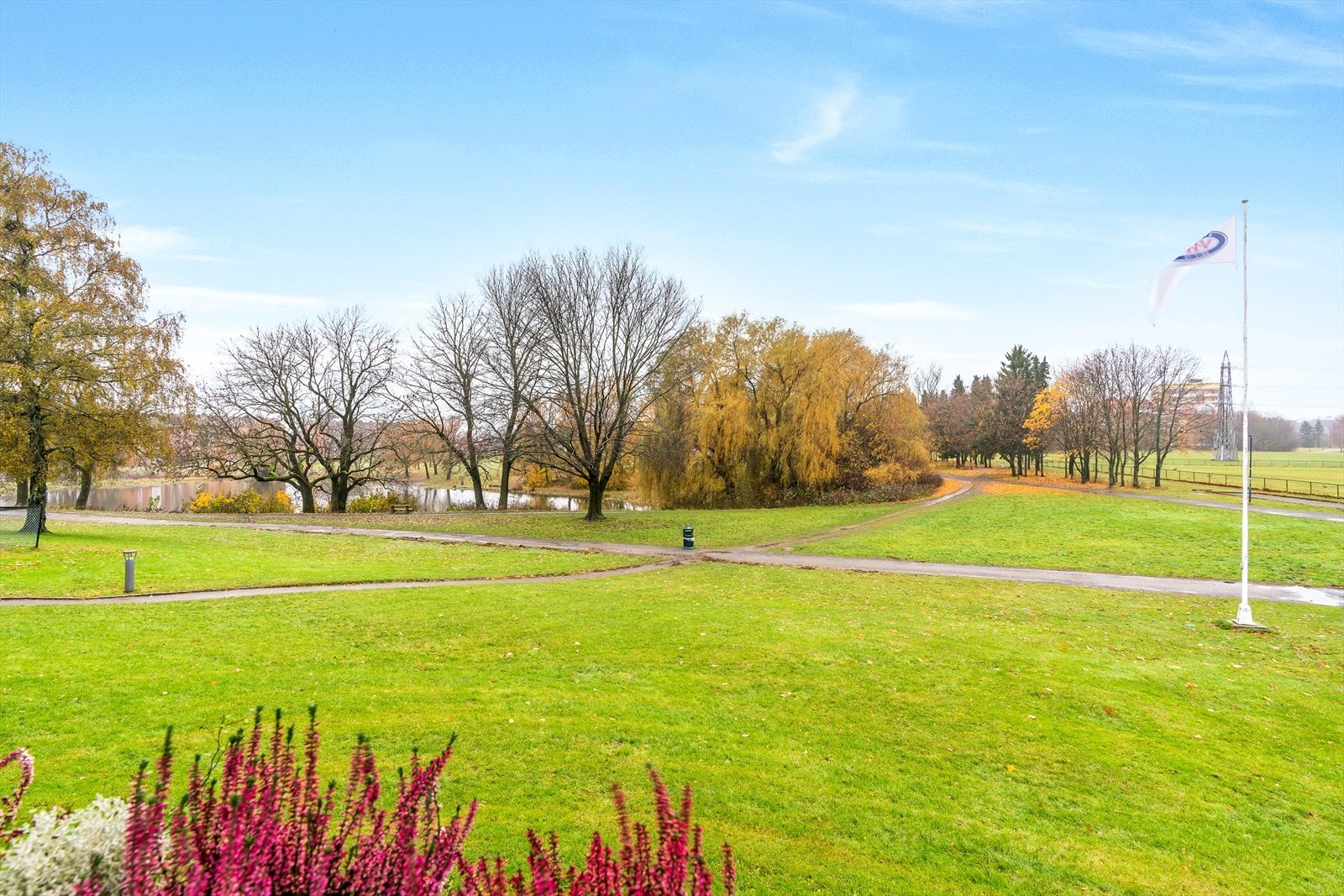 Nærområdet. Galleribilde