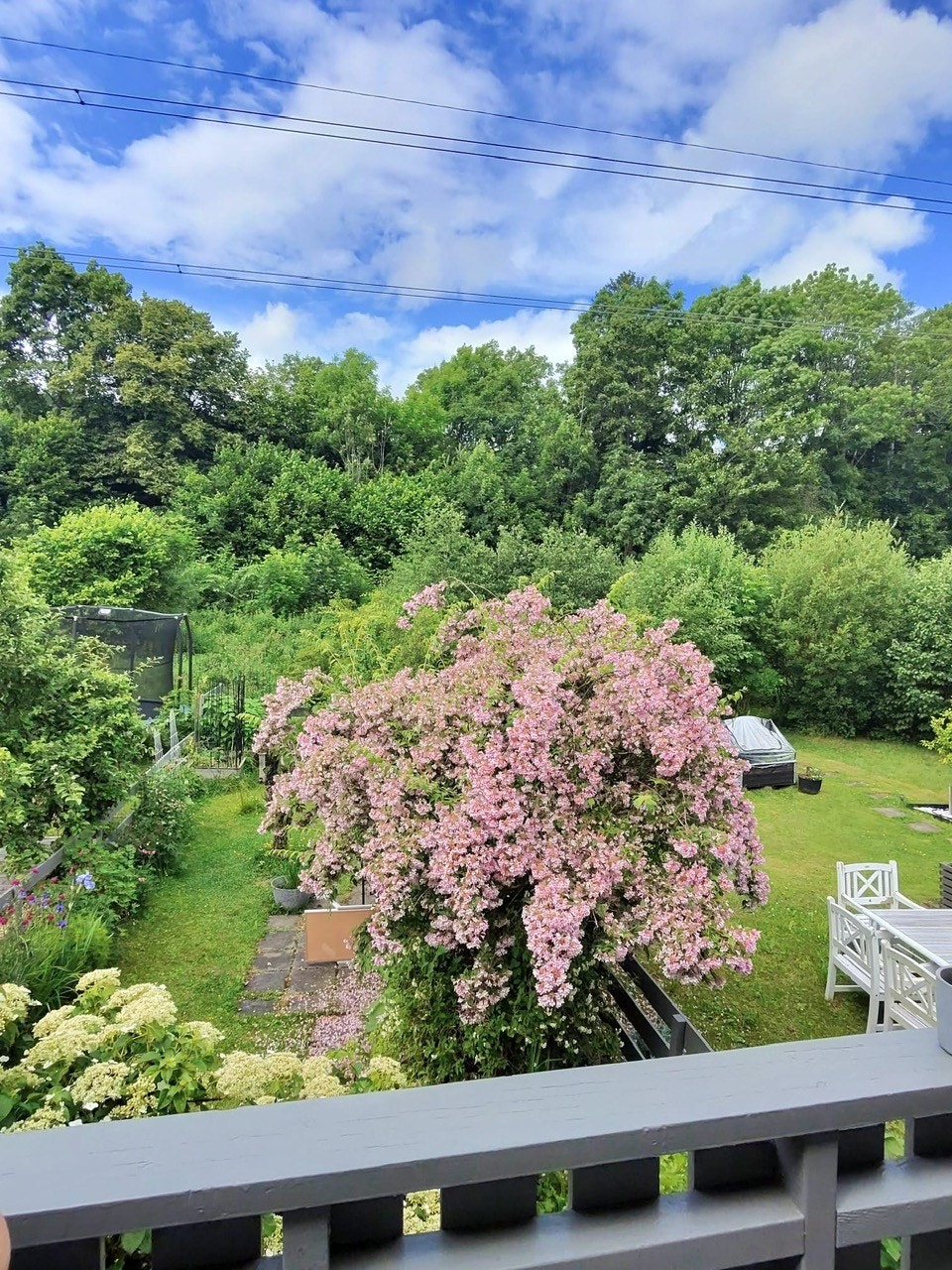 Om sommeren er det masse fin beplatningen som gjøre hagen til et behagelig oppholdsområde. (Selgers egne bilder) Galleribilde