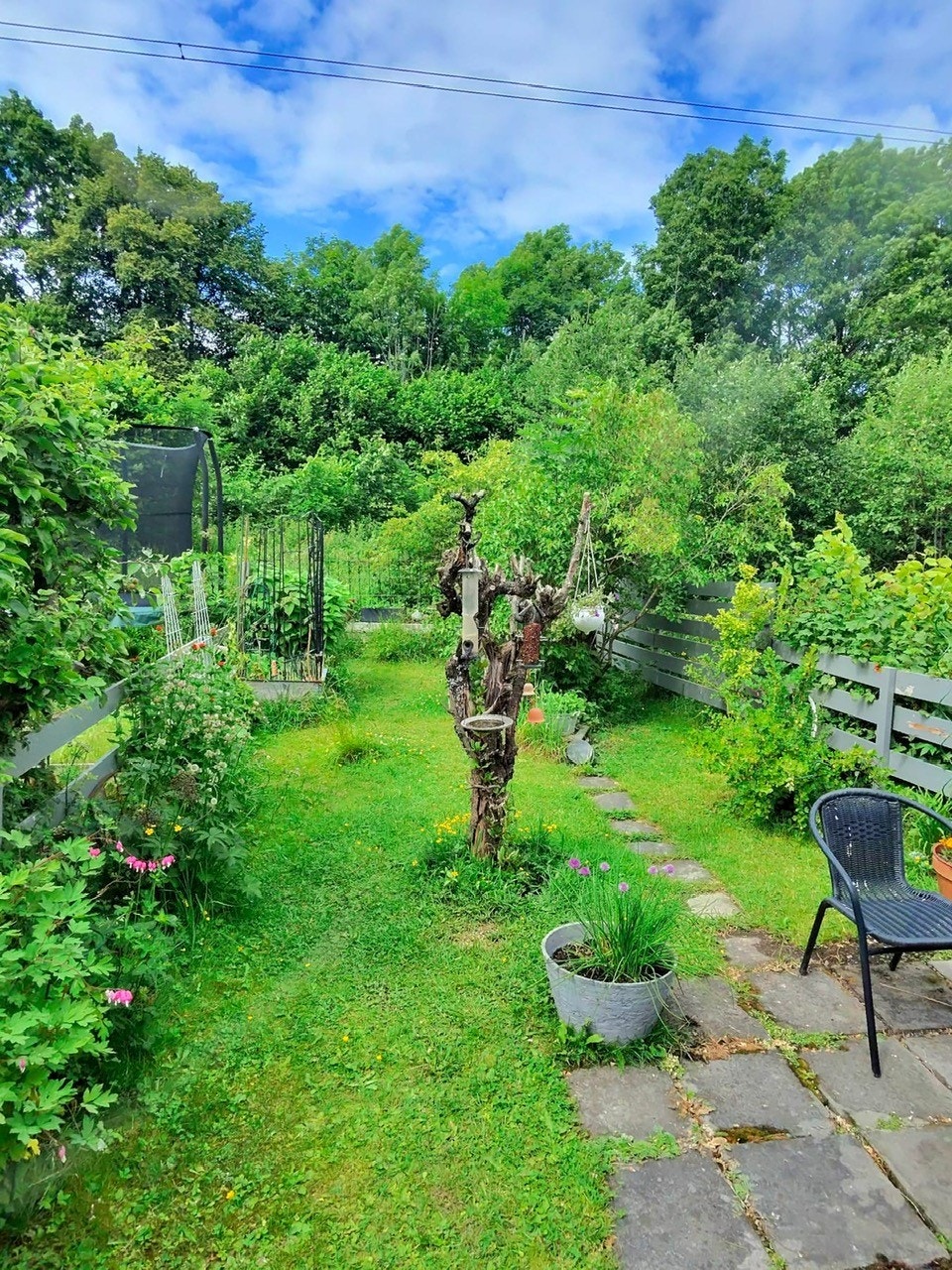 Boligen er full av grønne omgivelser om sommeren. (selgers egne bilder) Galleribilde