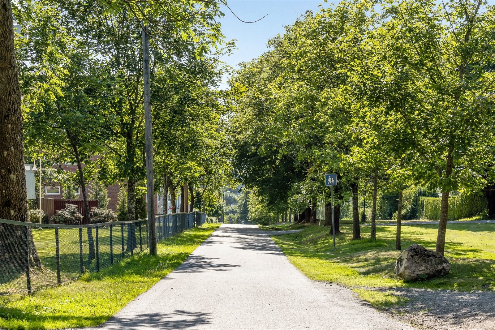 Lønnealleen. Området byr på rike muligheter for aktivitet og rekreasjon. Galleribilde