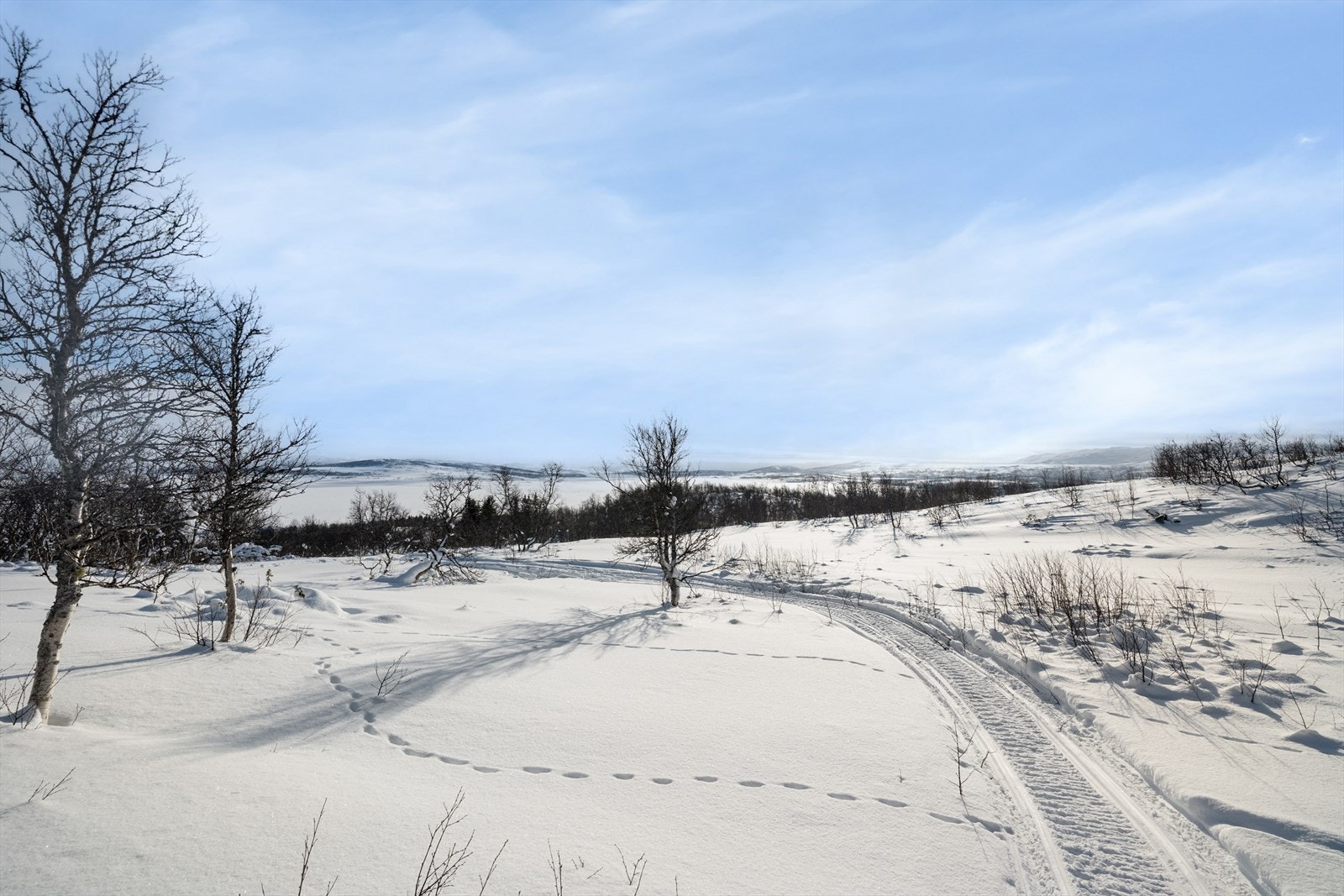 Man kan gå lengere turer innover Hardangervidda, som er Nord-Europas største høyfjellsplatå. Her venter langstrakte vidder og vakker natur, samt et rikt dyre- og planteliv. Galleribilde