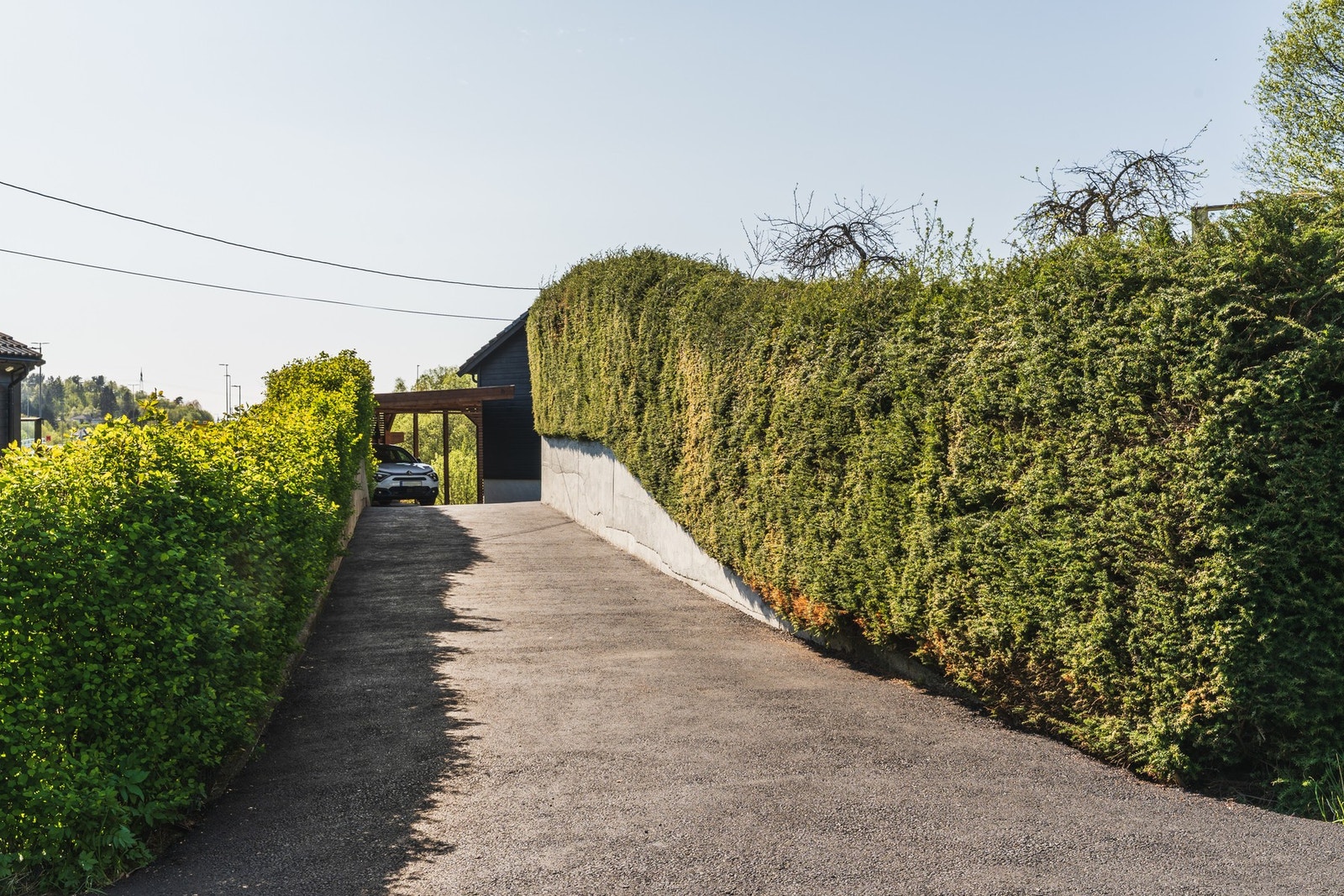 Fin og velholdt oppkjørsel. Galleribilde