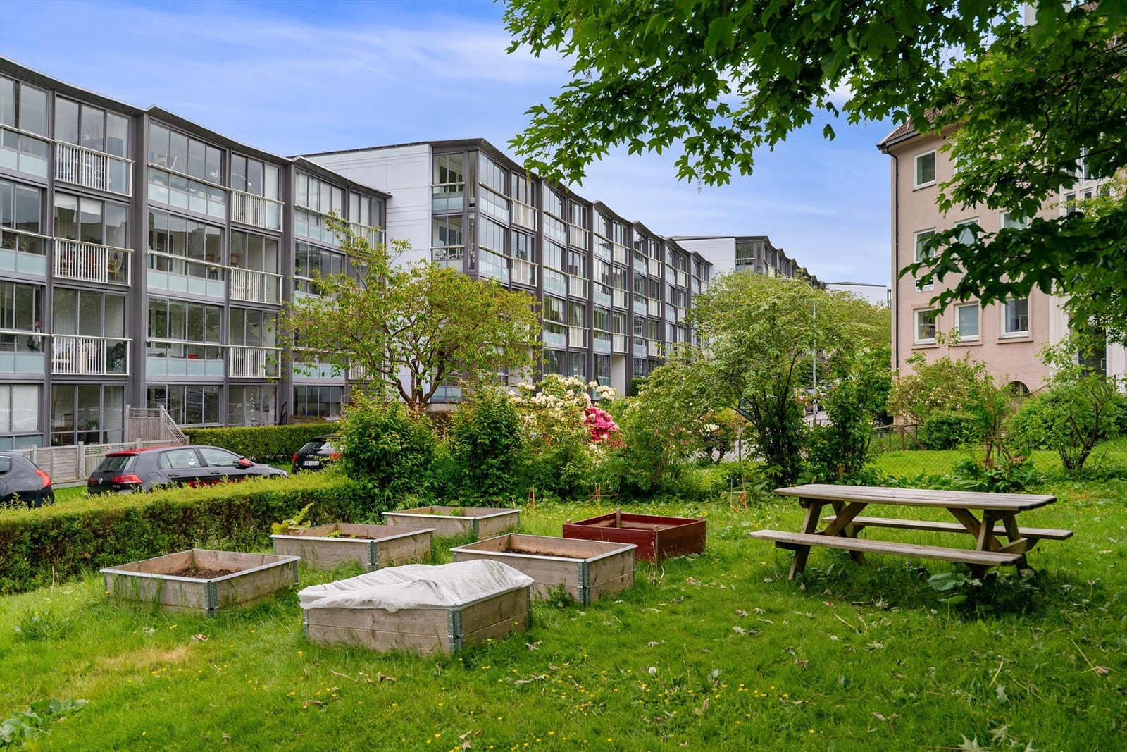 - Koselige og velholdte uteområder i borettslaget - Galleribilde