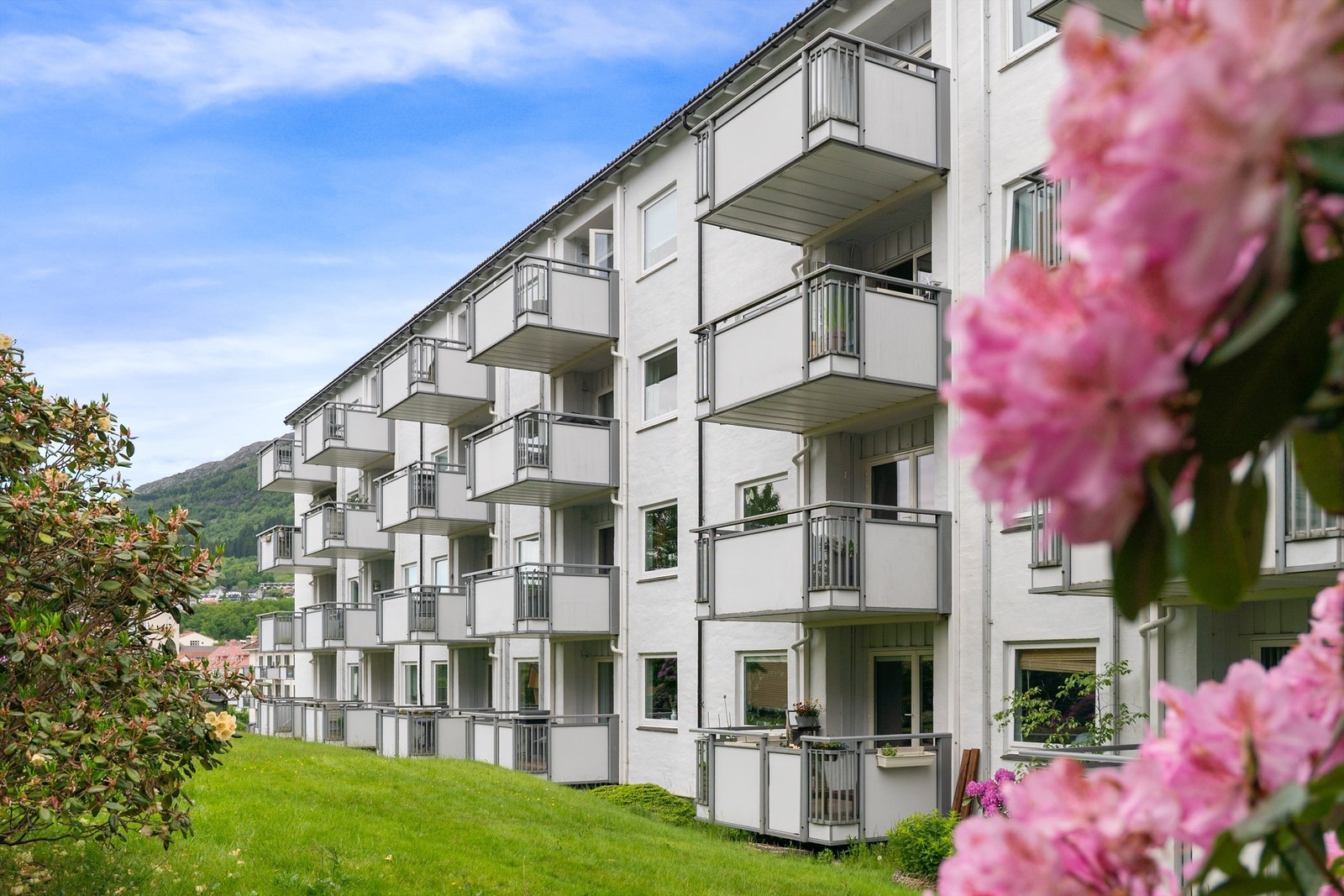 - Fasaden på sommertid - Galleribilde