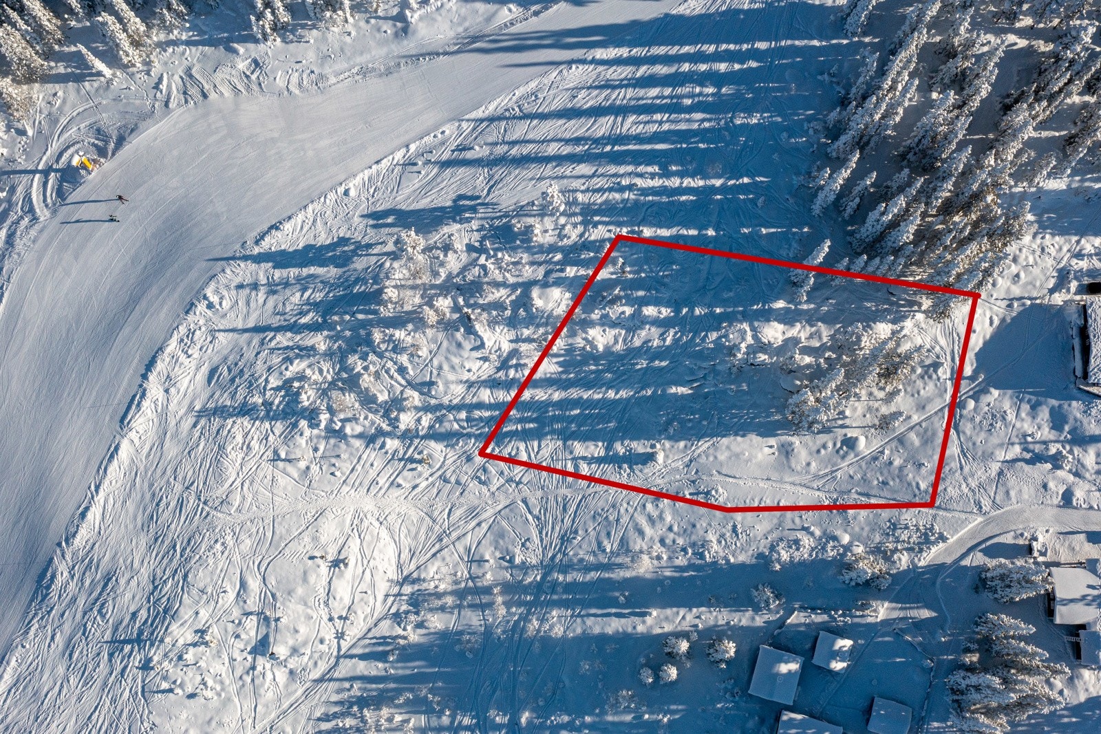 Utsnitt av tomtegrensen på hele 1,6 mål Galleribilde