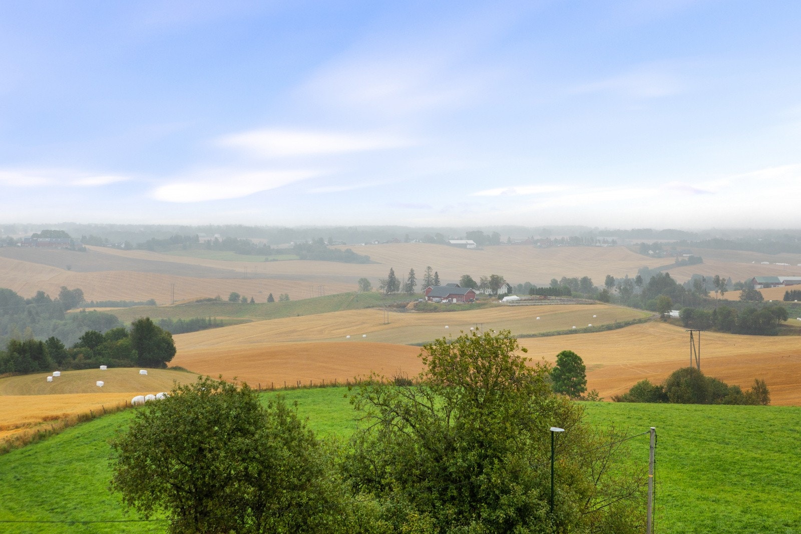 Utsiktsbilde. Galleribilde