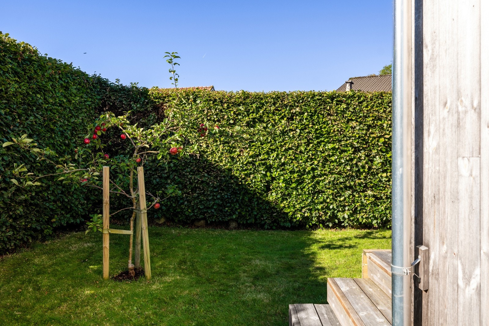 Hagen har flate plenarealer som passer perfekt for trampoliner, fotball og utelek. Galleribilde