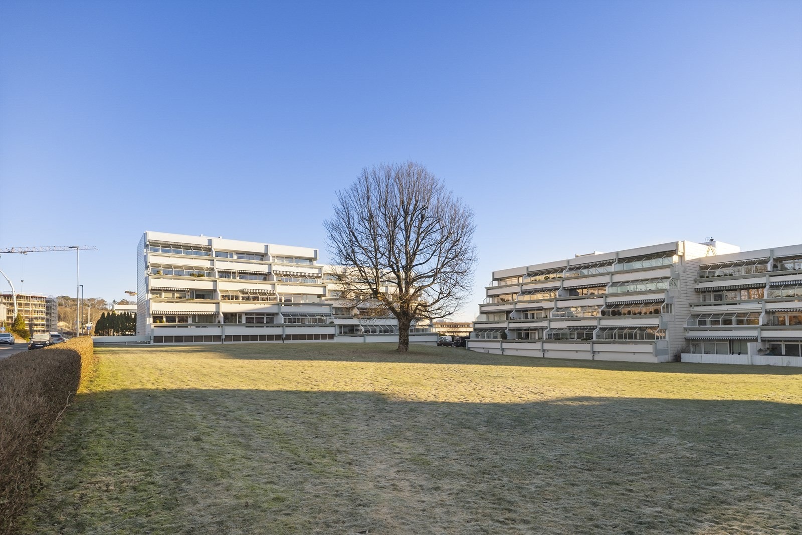 Grøntareal utenfor Galleribilde