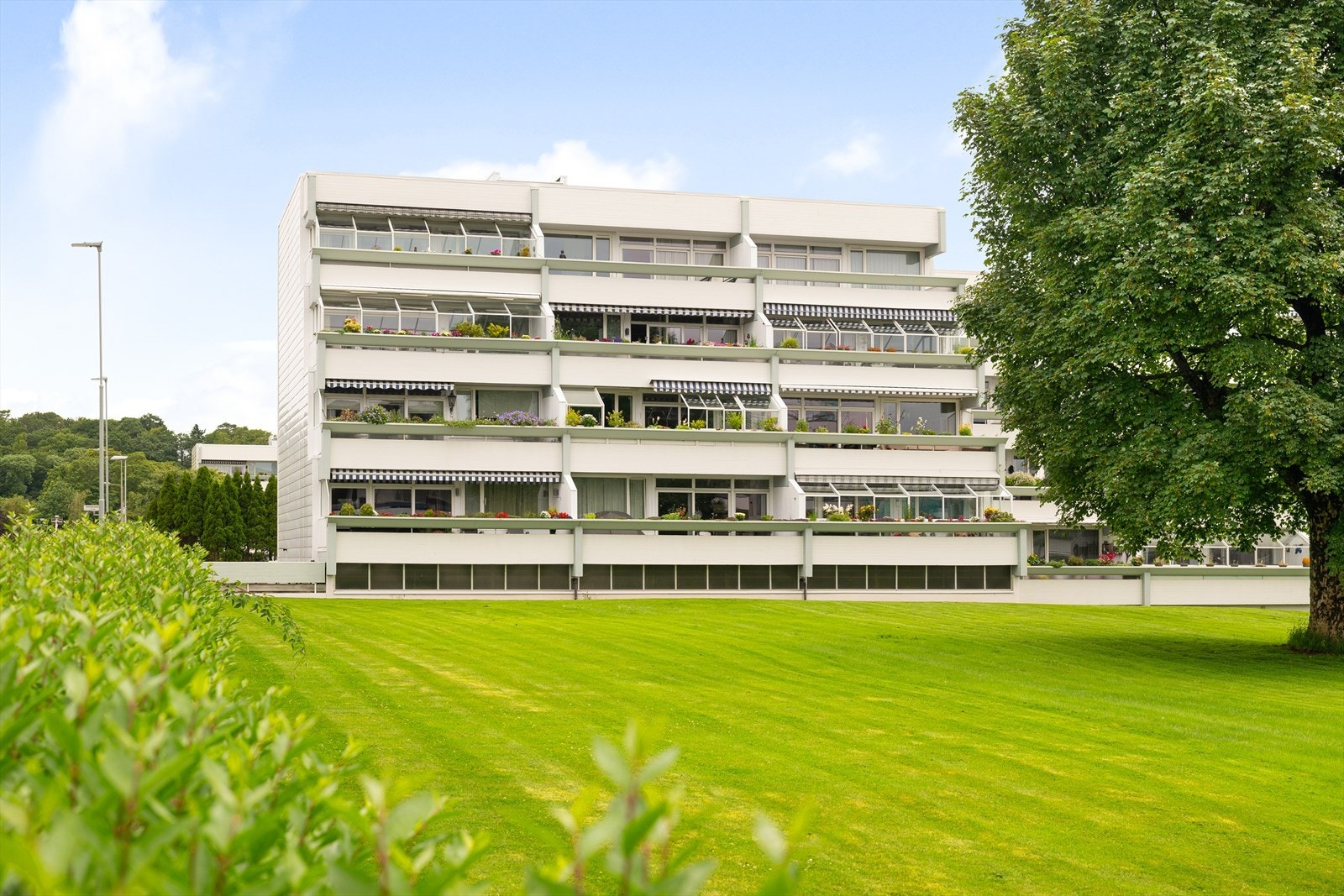 Velkommen til Timoteiveien 8, og en nydelig leilighet i en høy 1. Etasje! Galleribilde