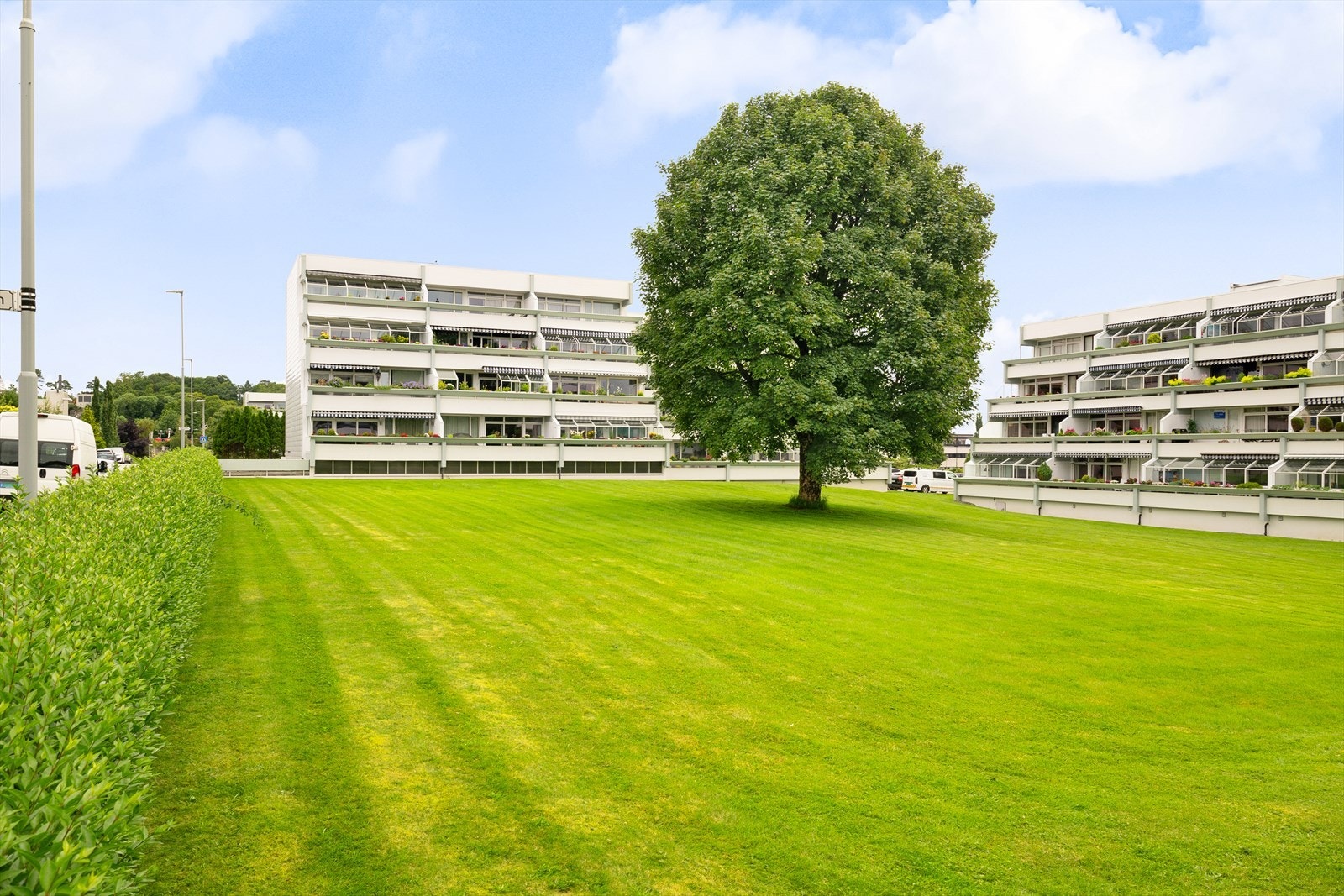 Sommerstid Galleribilde