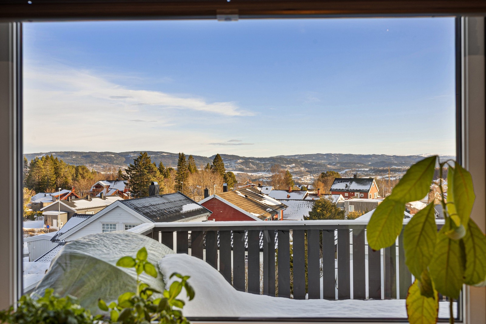 Flott utsikt ved benken. Galleribilde