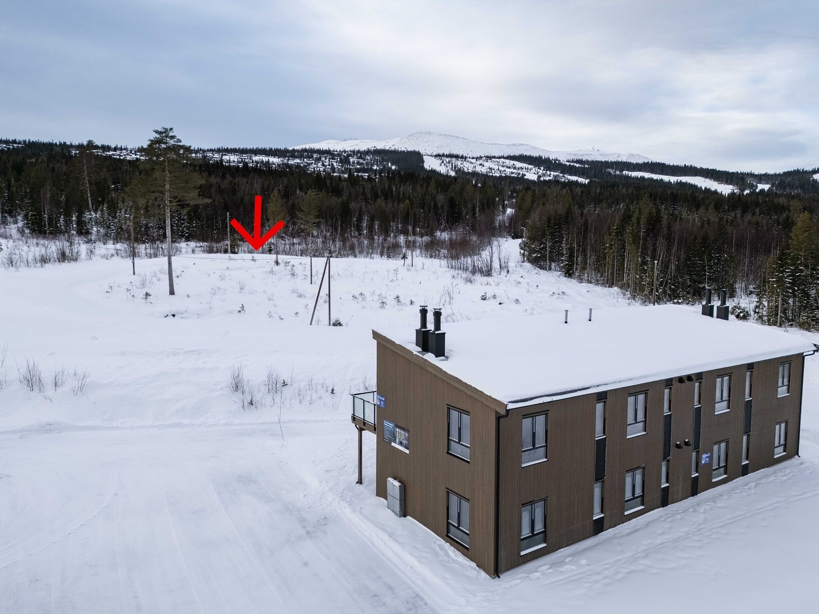 Lysøypa ligger kun 20 meter fra boligen Galleribilde