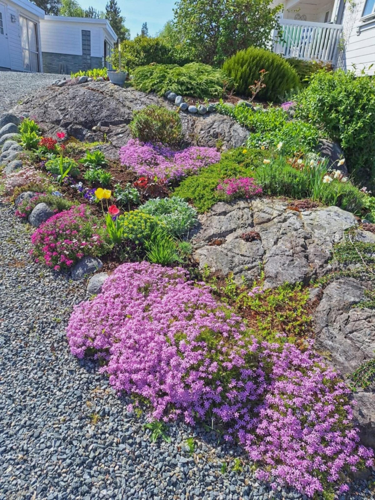 Tomten er opparbeidet med bed og beplantning (selgers bilde) Galleribilde