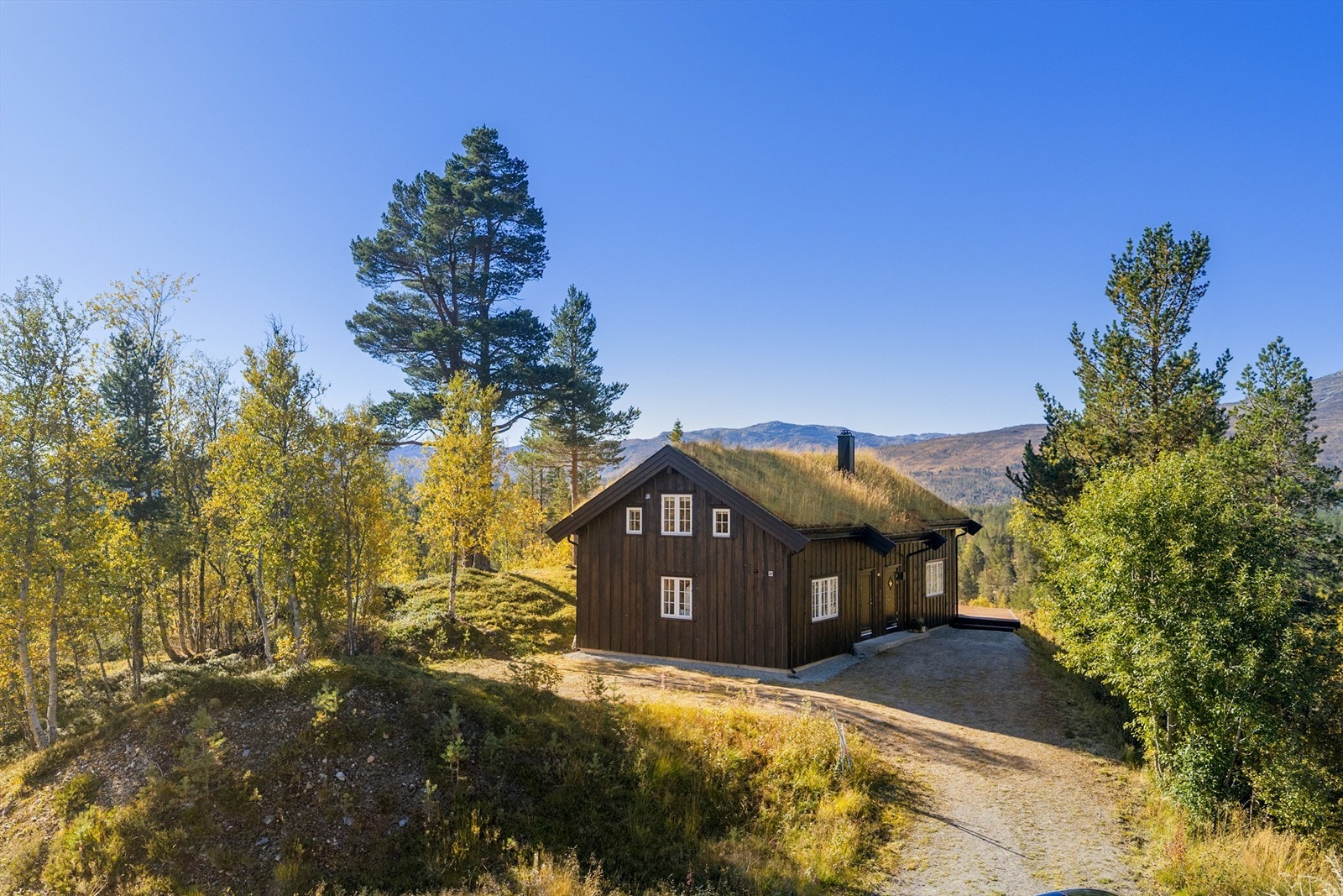Godt med parkeringsplass helt i hyttevegen. Galleribilde