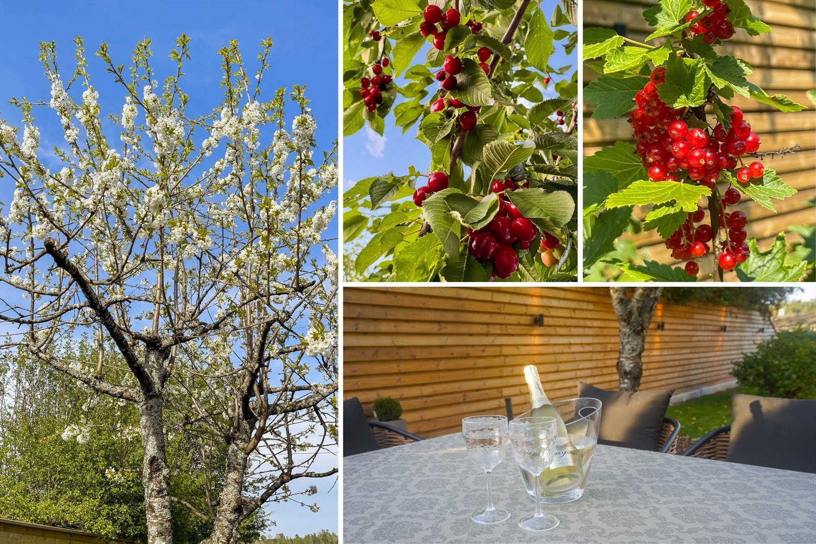 Bilde tatt av selger. Detaljbilde. Galleribilde