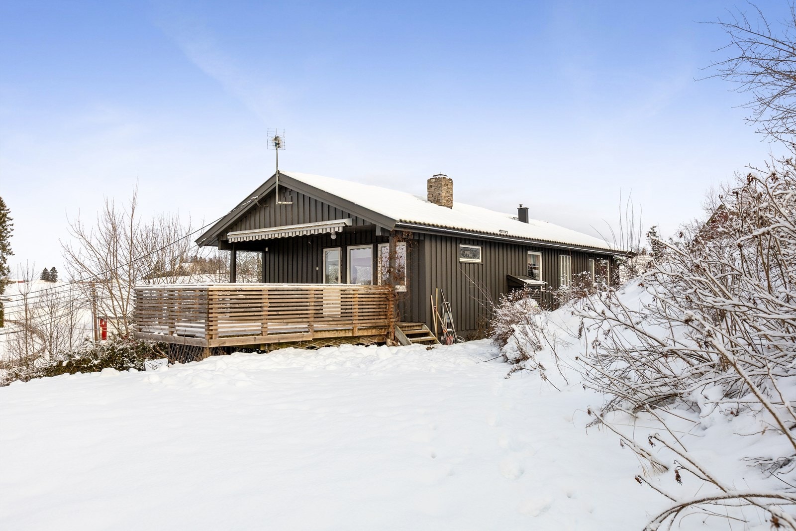 Velkommen til visning! Galleribilde