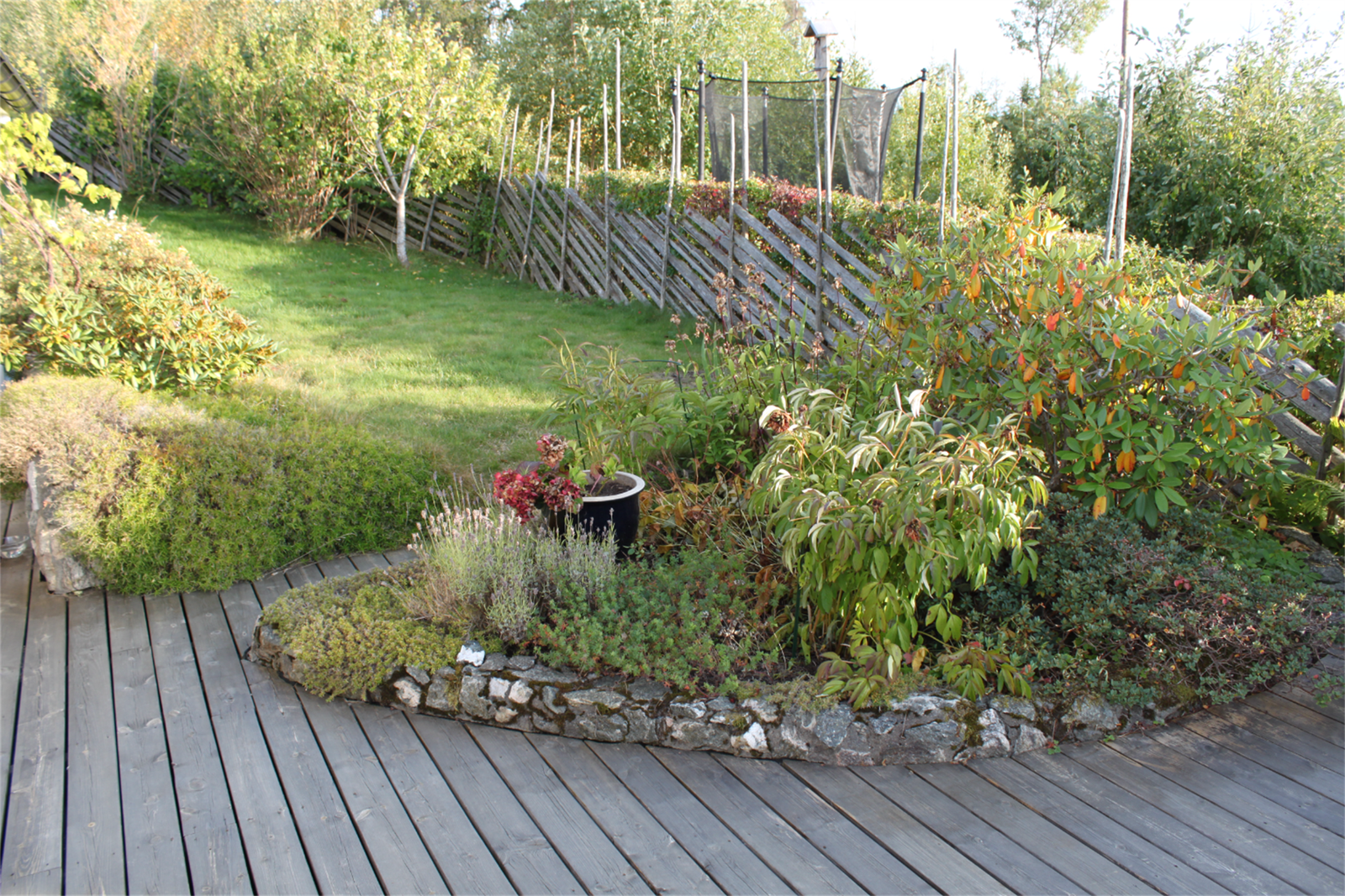 Dette kan du forvente om sommeren! Selgers bilde. Galleribilde