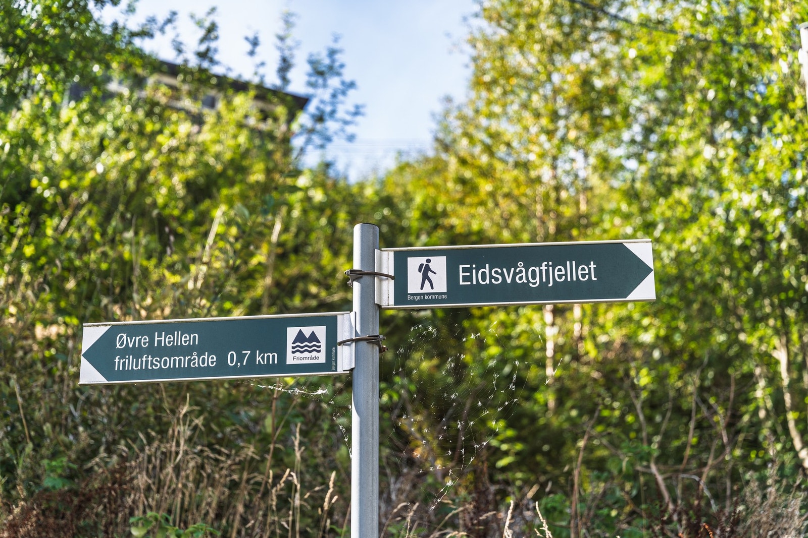 For mer varierte turmuligheter kan man enkelt ta seg opp mot Sandviksfjellet og videre inn i Byfjellene, med stinett som fører til blant annet Øvre Hellen friluftsområde, Stoltzekleiven, Fløyen og videre til Ulriken. Galleribilde