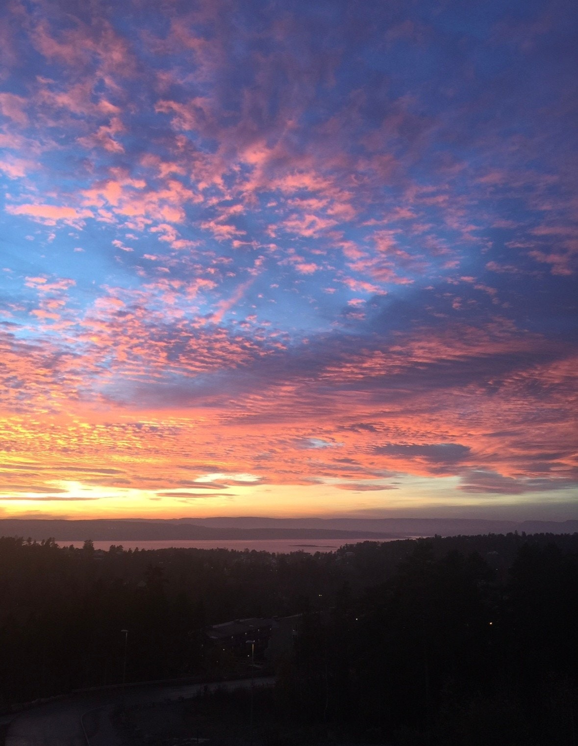 Selgers private bilde. Galleribilde