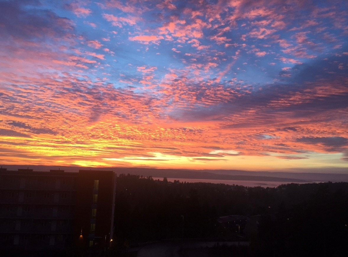 Selgers private bilde. Galleribilde