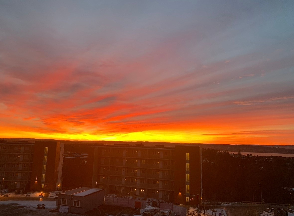 Selgers private bilde. Galleribilde