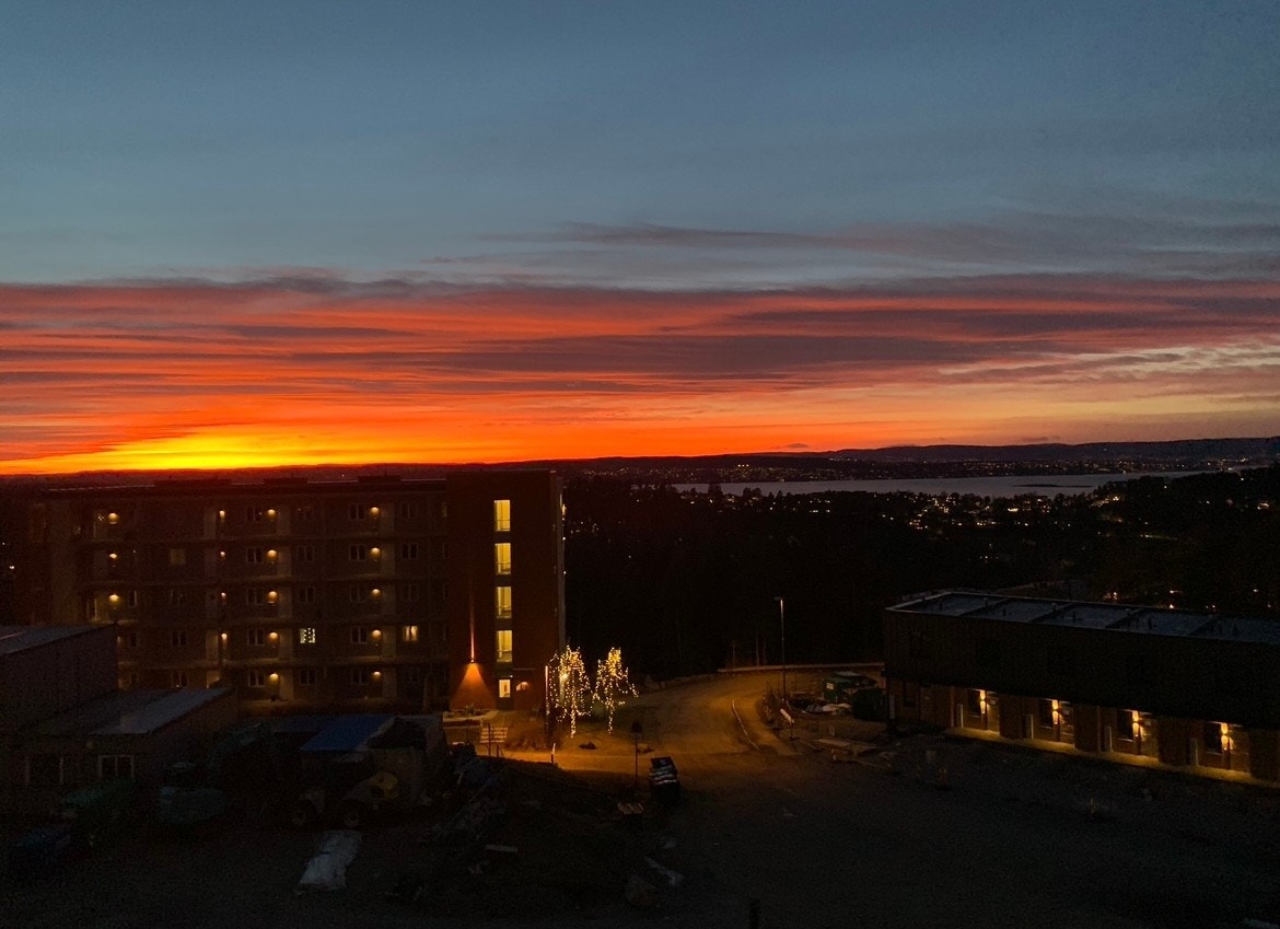 Selgers private bilde. Galleribilde