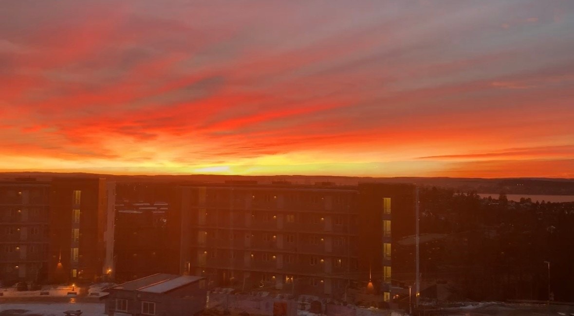 Selgers private bilde. Galleribilde