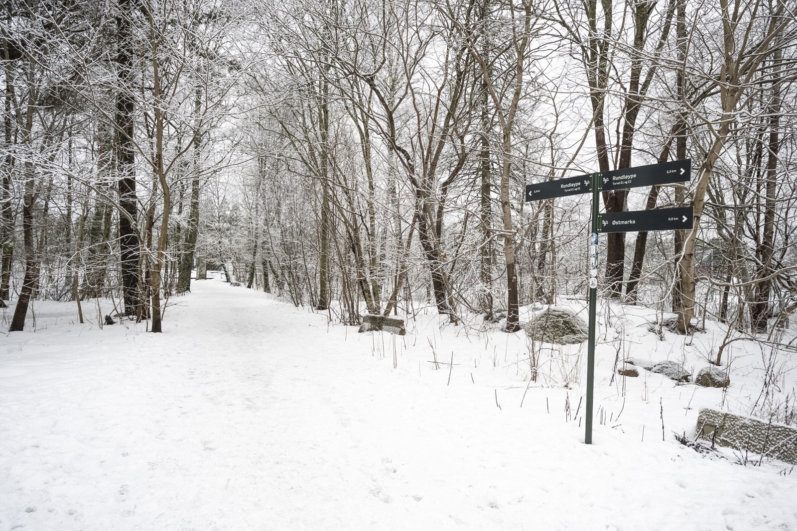 Kort vei til Østmarka med flotte turmuligheter året rundt. Galleribilde