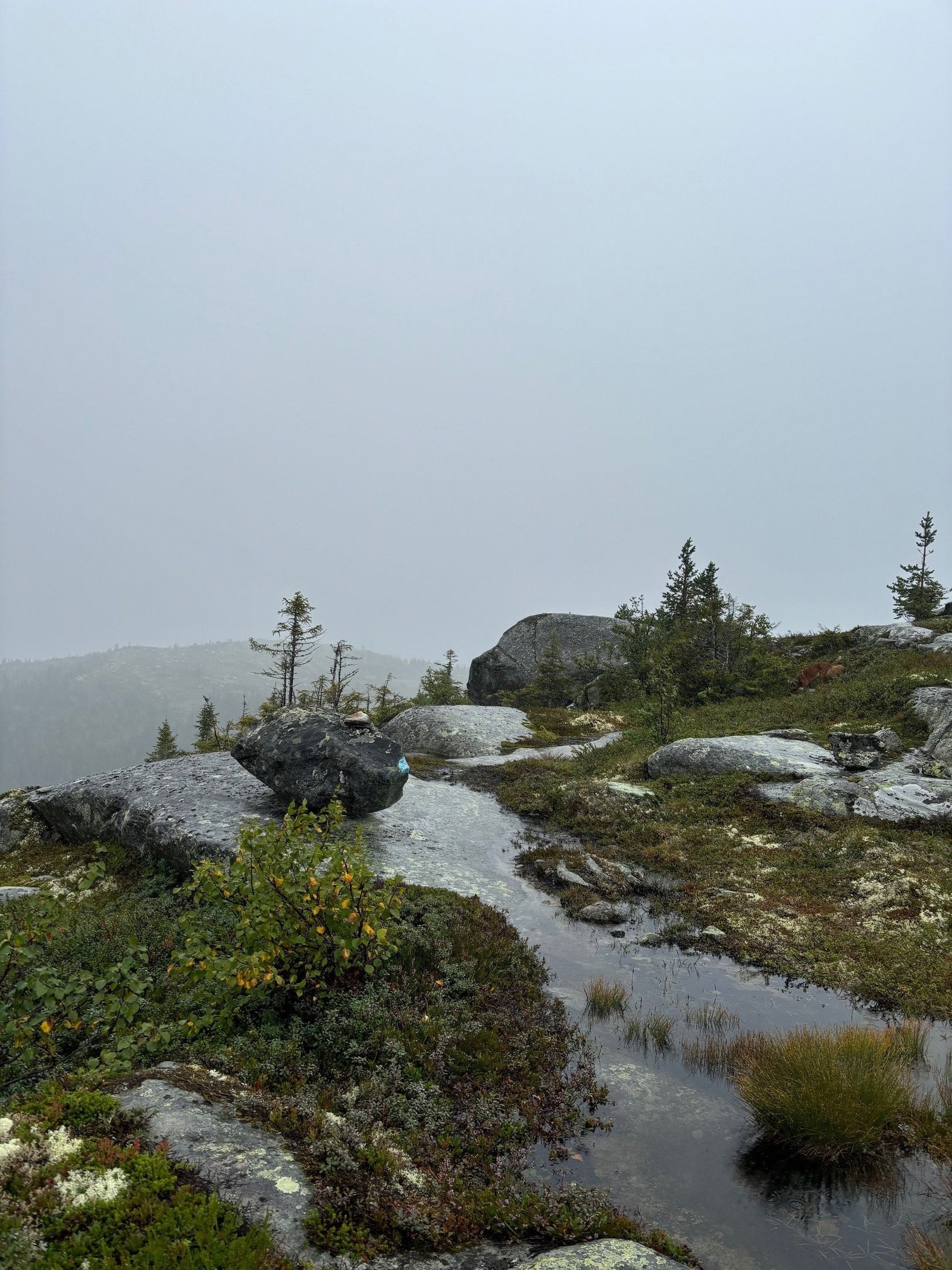 Fjelltur i ruskevær Galleribilde