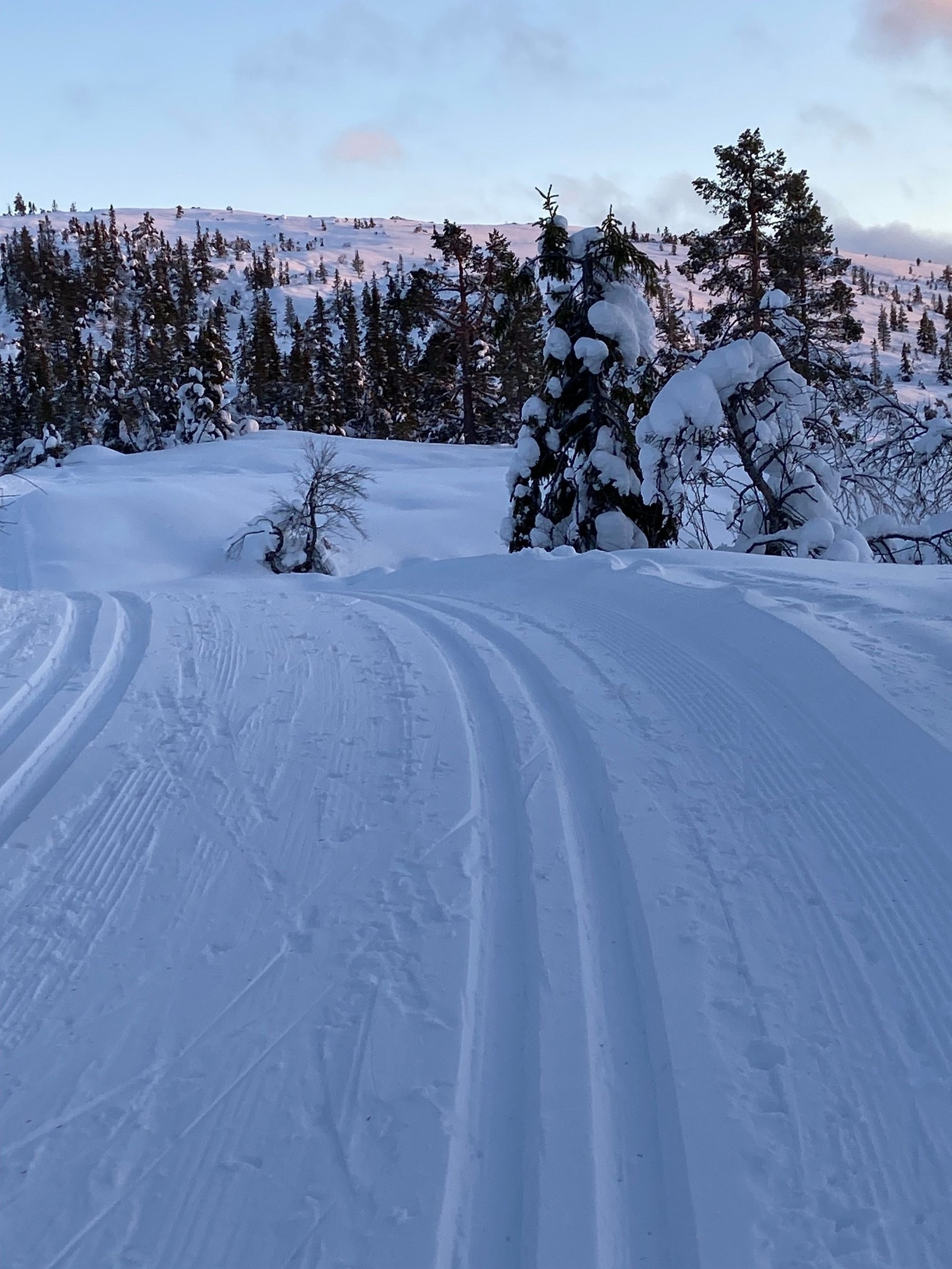 Flotte skiløyper Galleribilde