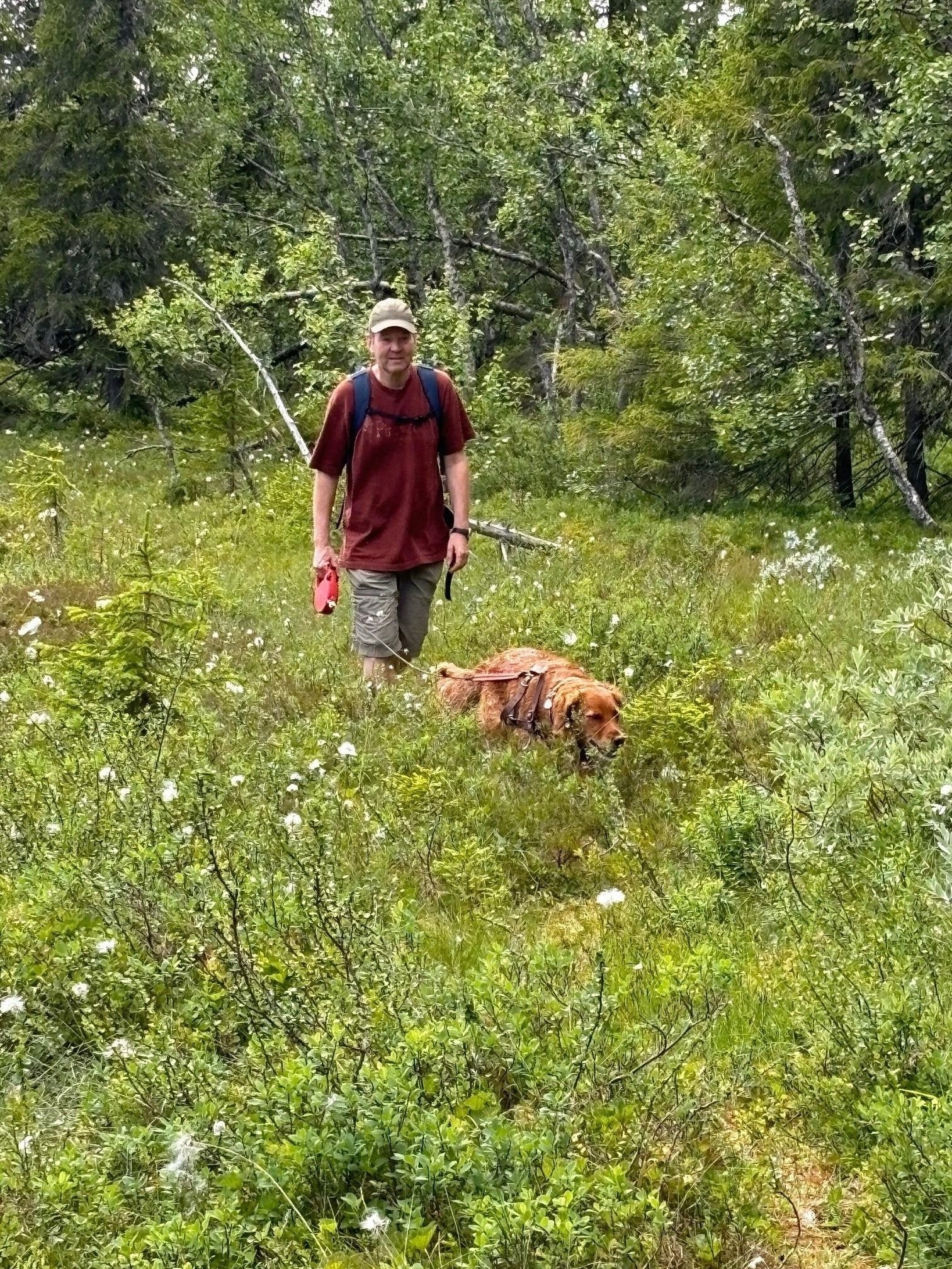 På tur utenom allfarvei Galleribilde