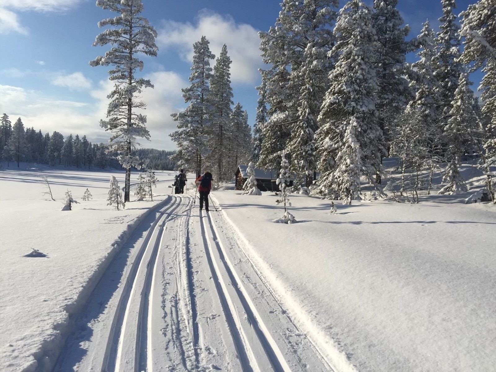 100 m fra tomta er det et stort oppkjørt løypenett Galleribilde